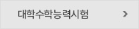 대학수학능력시험